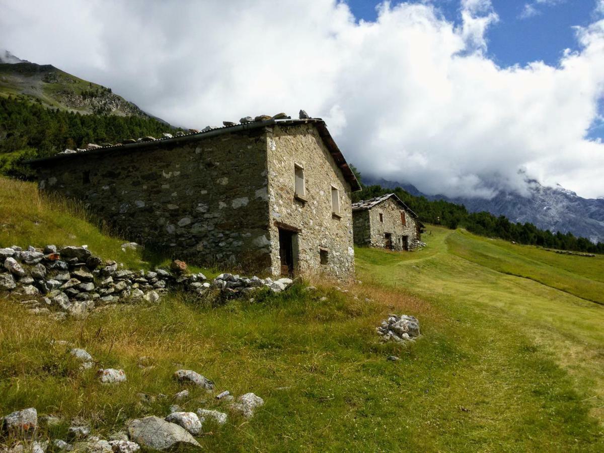 Appartamento Casa Zebrusius - Zebrusius'S App Valfurva Esterno foto