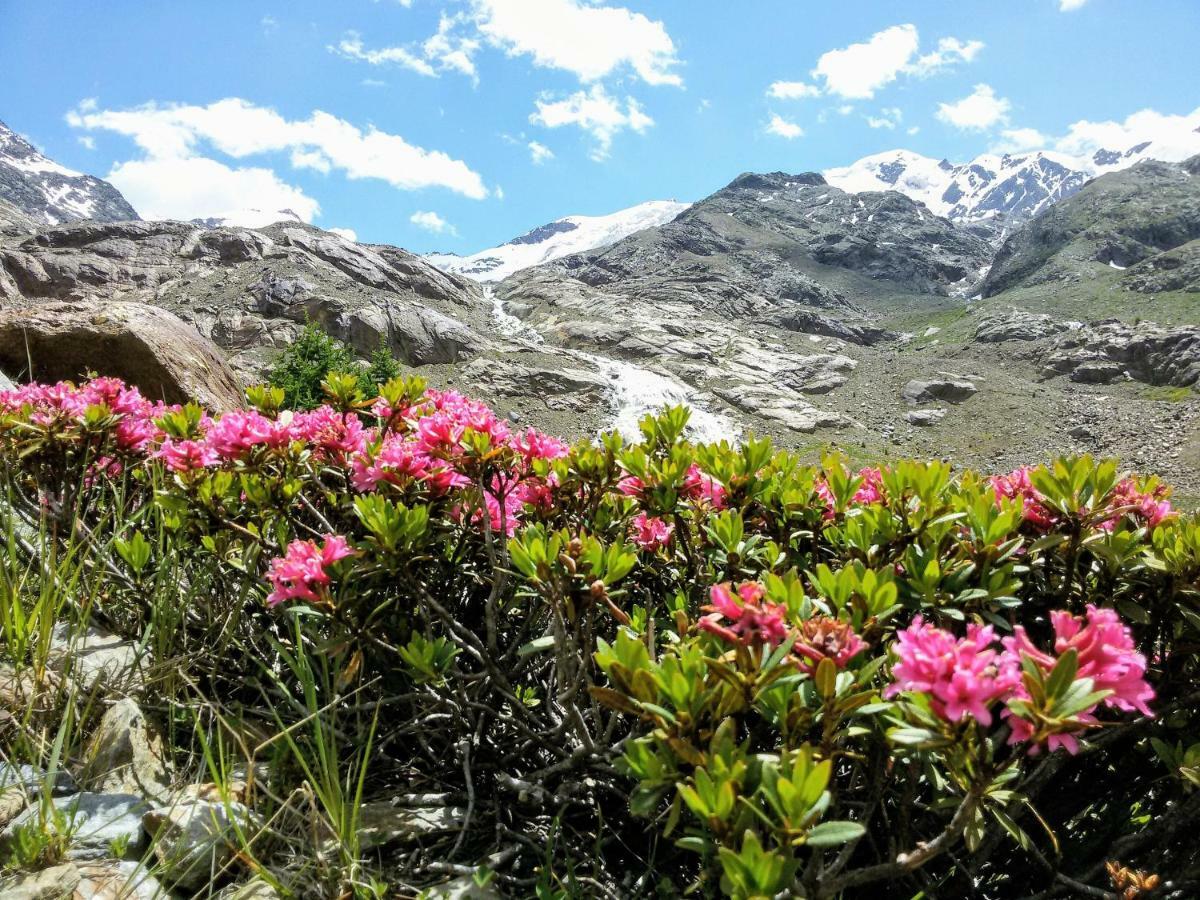 Appartamento Casa Zebrusius - Zebrusius'S App Valfurva Esterno foto